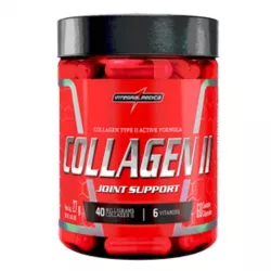 collagen-ii-joint-support-60-caps-integralmedica-sao-paulo-brasil